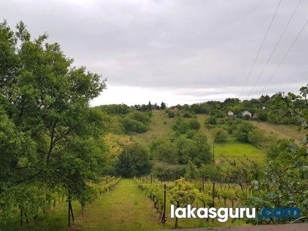 Zártkerti Ingatlan Zalaegerszegen A Csácsi-Hegyen - Panorámával És Különleges Környezettel! - Kép 3