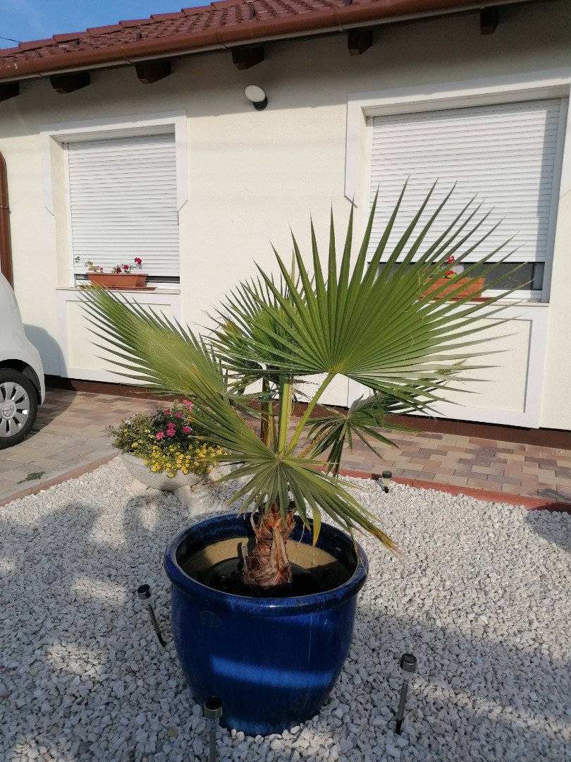 hőszivattyús újszerű ház - Kép 16