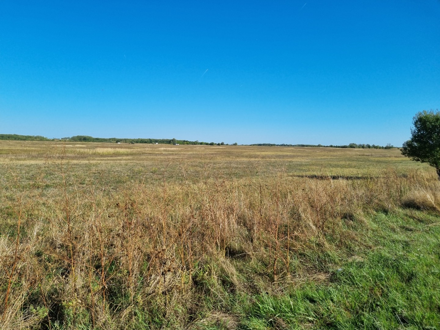 Az M0 körgyűrűtől 11km-re Tökölön nagy telek tanyának telephelynek