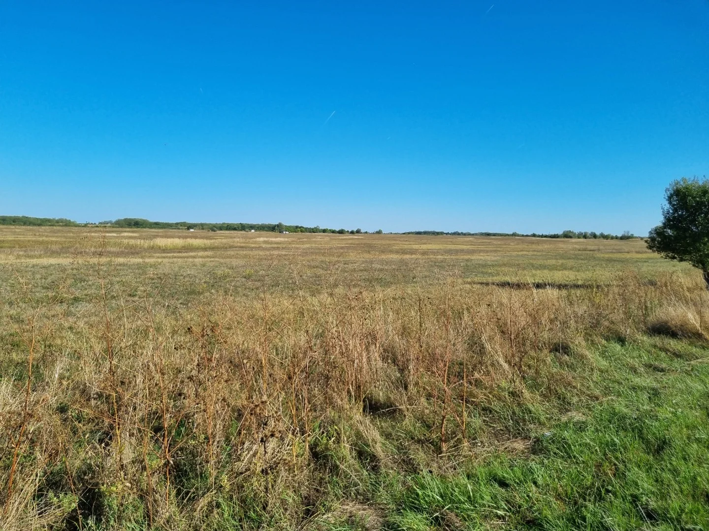 Az M0 körgyűrűtől 11km-re Tökölön nagy telek tanyának telephelynek