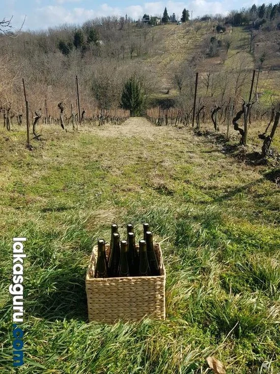 Zártkerti Ingatlan Zalaegerszegen A Csácsi-Hegyen - Panorámával És Különleges Környezettel! - Kép 5