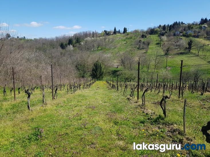 Zártkerti Ingatlan Zalaegerszegen A Csácsi-Hegyen - Panorámával És Különleges Környezettel! - Kép 6