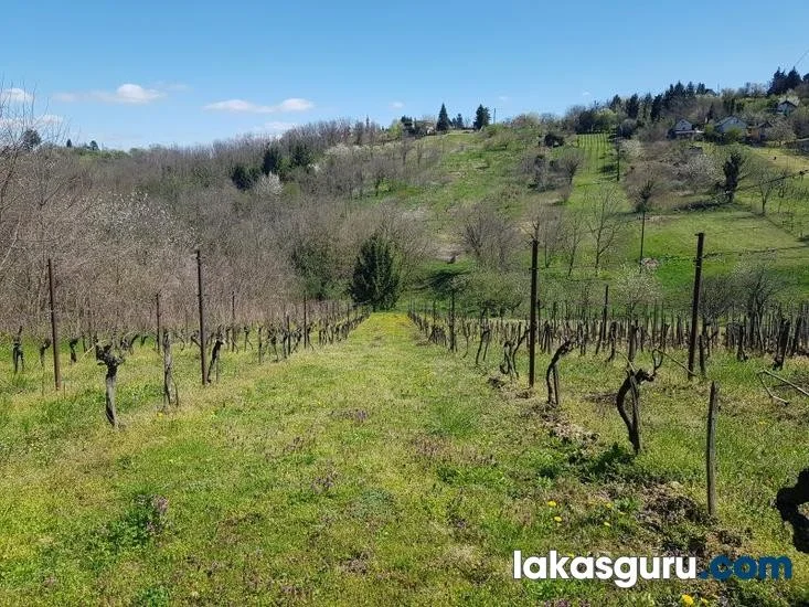 Zártkerti Ingatlan Zalaegerszegen A Csácsi-Hegyen - Panorámával És Különleges Környezettel! - Kép 6