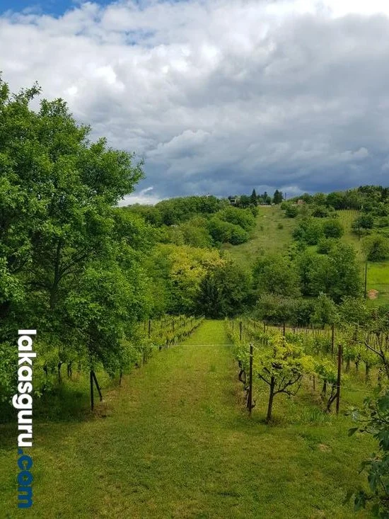 Zártkerti Ingatlan Zalaegerszegen A Csácsi-Hegyen - Panorámával És Különleges Környezettel! - Kép 8