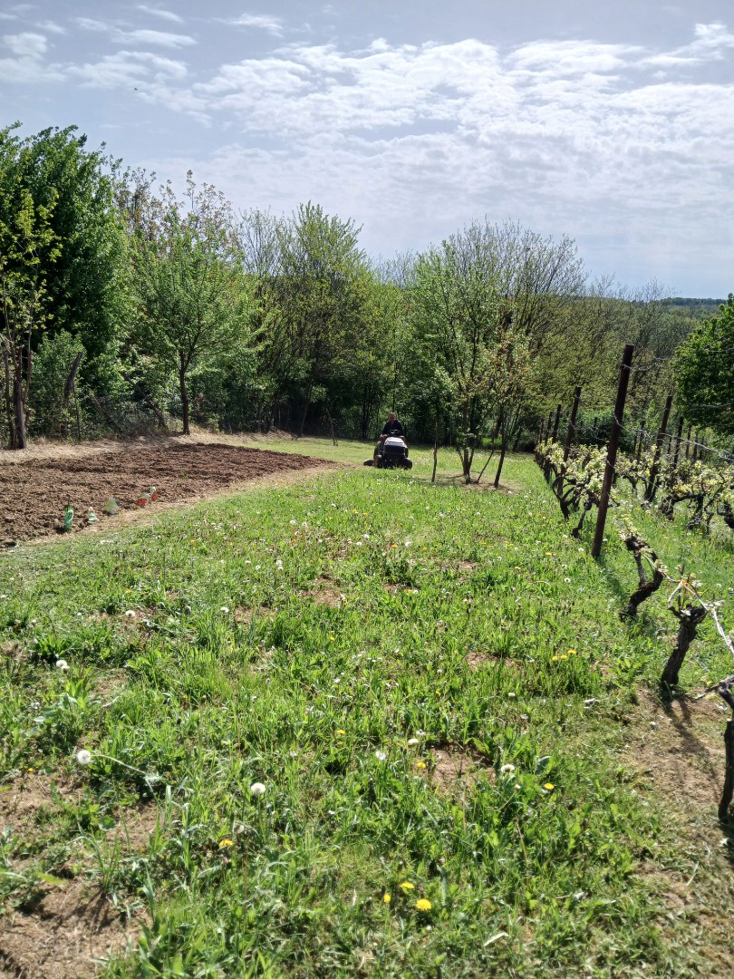Eladó önálló nyaraló nyaraló / üdülő Bázakerettyen - Kép 4