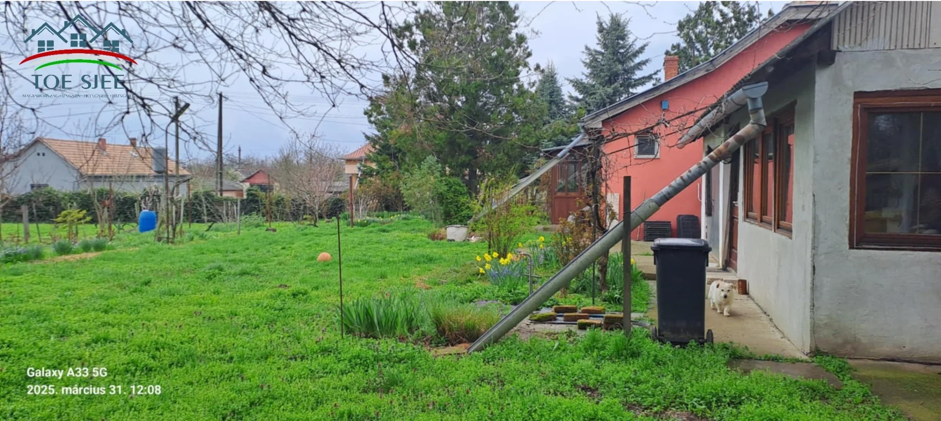 Családi ház eladó Tiszaszentimrén (idn250331) - Kép 17