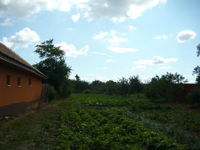 Építési telek Csorna közelében