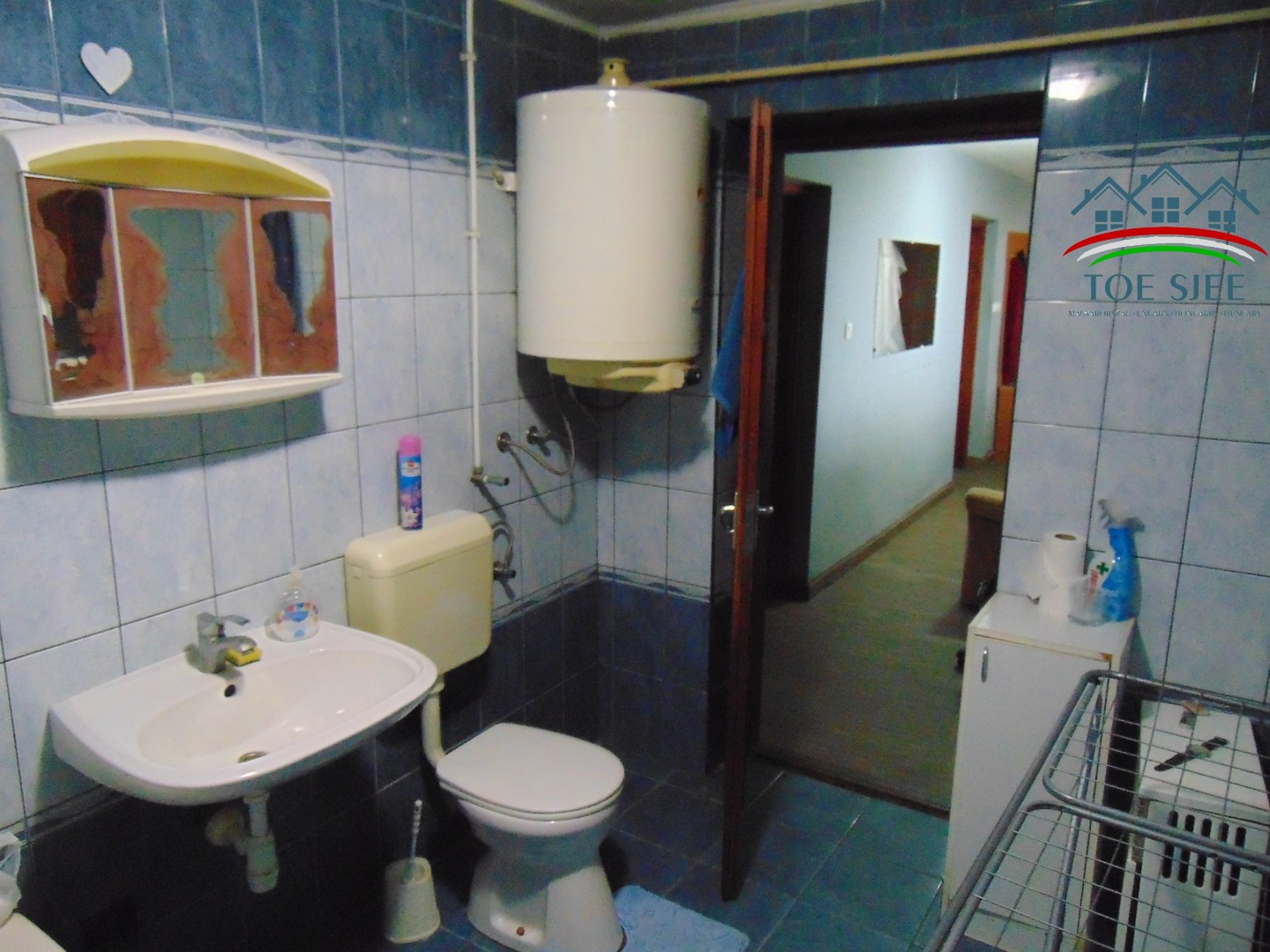 Családi ház üzlethelyiséggel eladó Abádszalókon (idn231005) - Kép 17