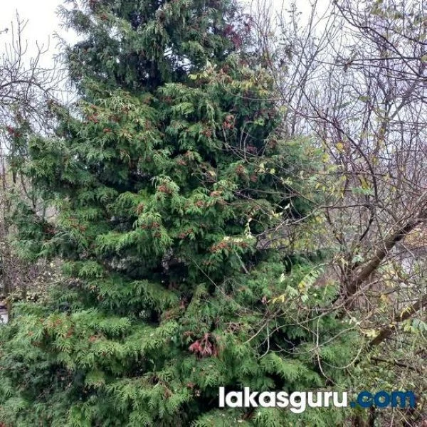 Kétszintes Családi Ház Nagykapornak Csendes Utcájában! - Kép 14