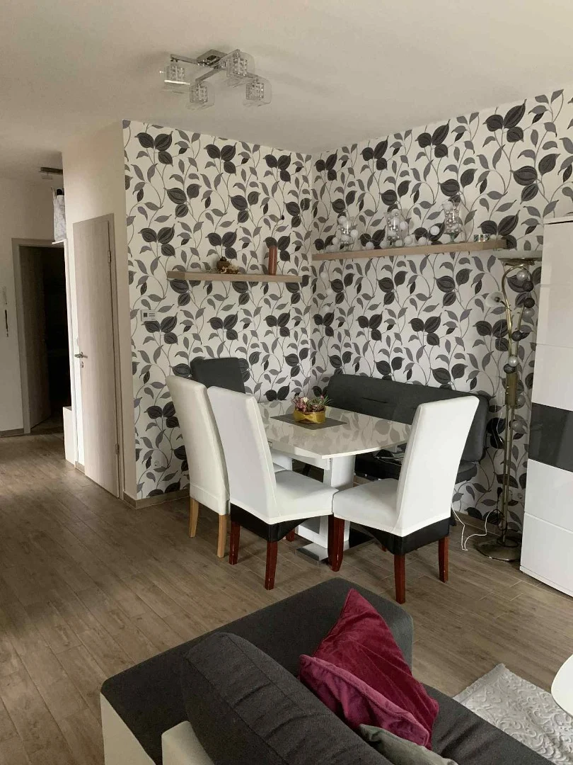 NÍVÓS AMERIKAI KONYHÁS FÖLDSZINTI LAKÁS SAJÁT UDVARRAL. - Kép 5