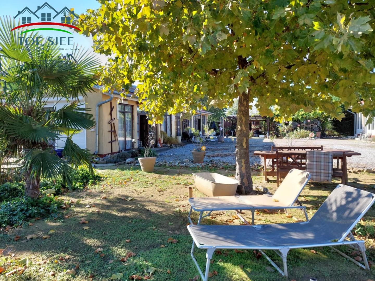 Tiszaderzsen családi ház hatalmas telekkel eladó (idn241104) - Kép 18