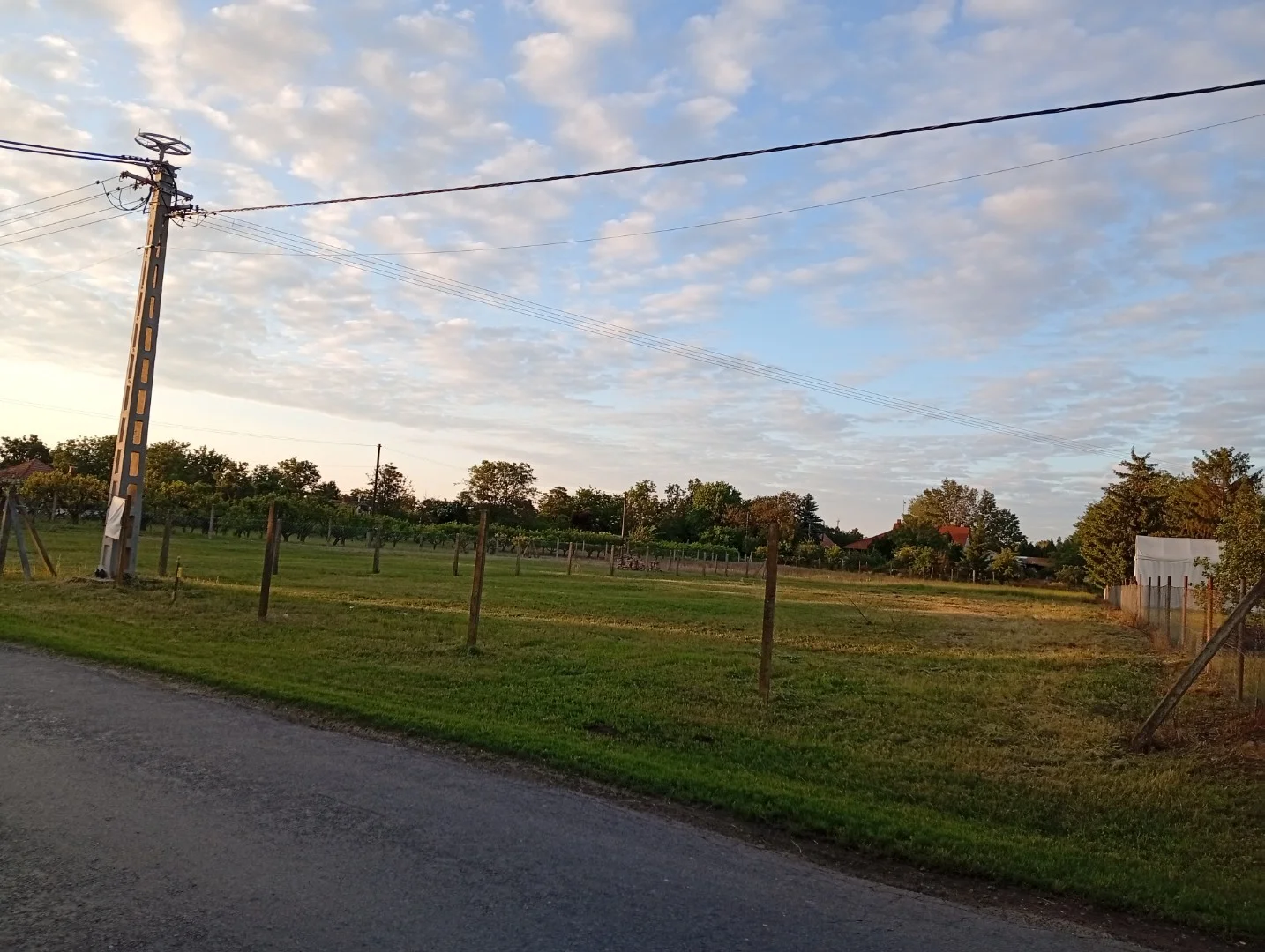 Zártkert, építési telek 3440m² - Kép 8