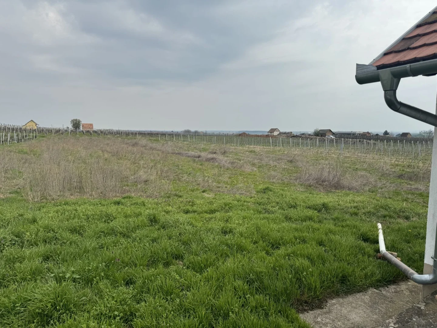 Villány szőlőhegyen présház eladó - Kép 8