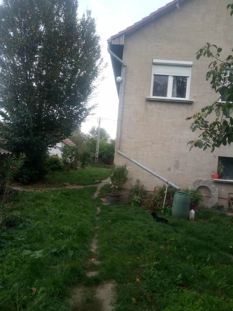 Ikerház jobb oldala - Kép 15