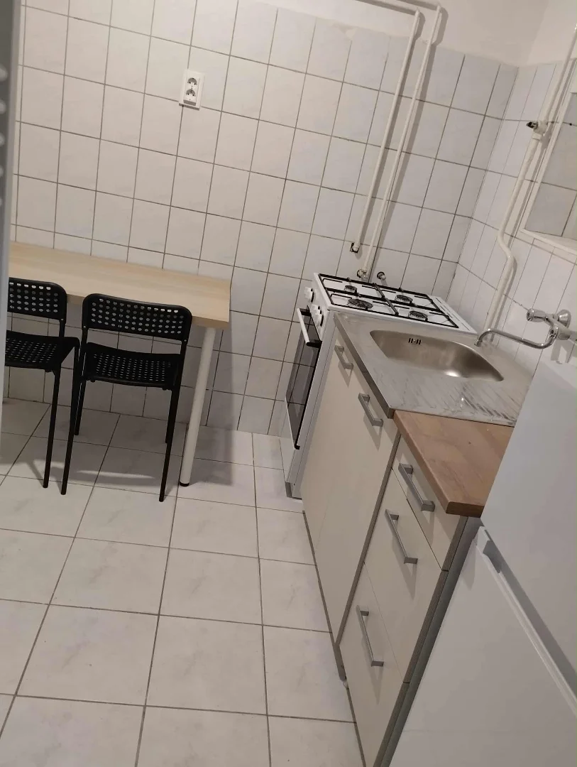 A Millenáris mellett eladó kis lakás - Kép 7
