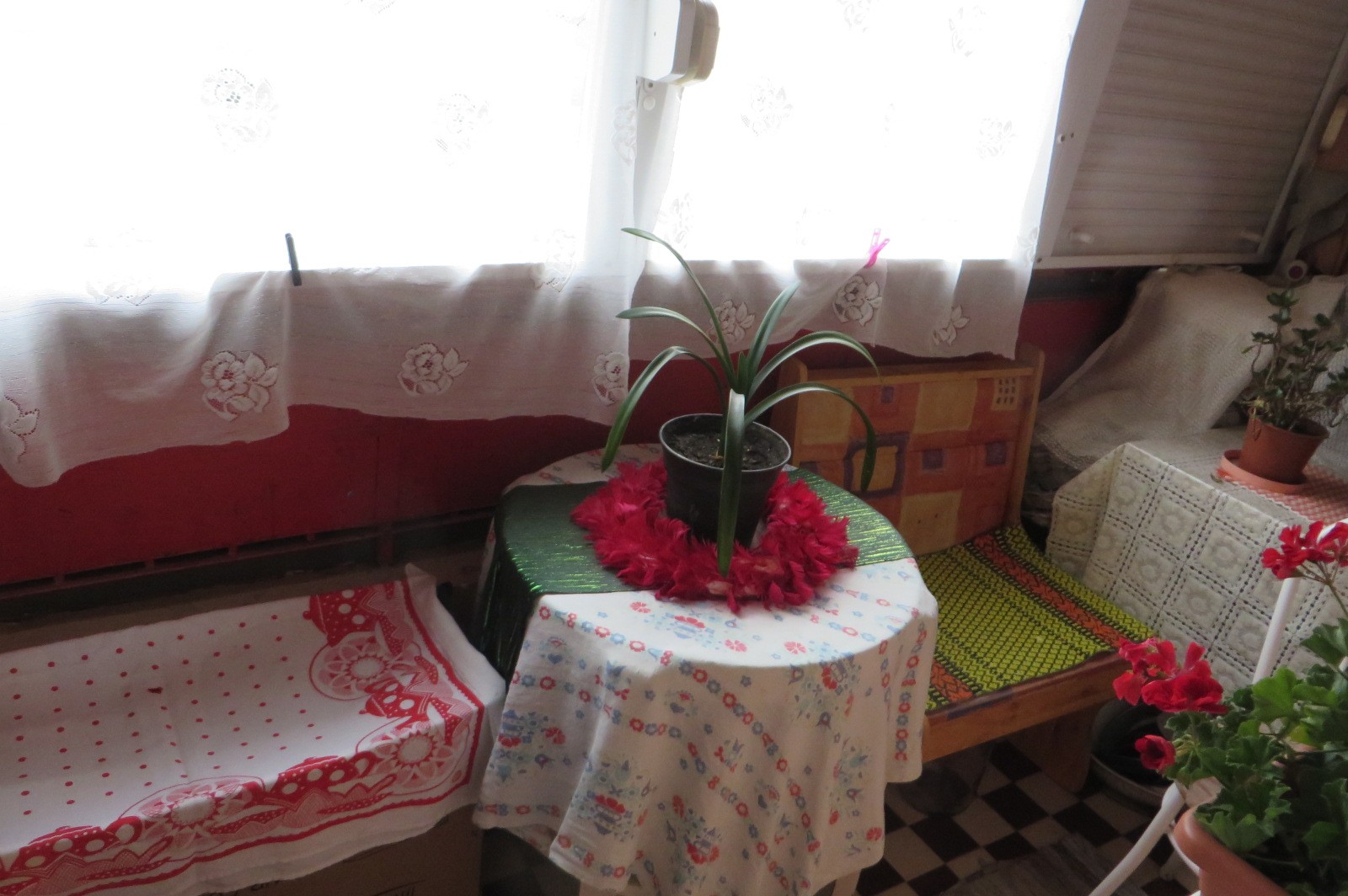 Vásárosnamény főterén 2 +1 szobás lakás e l a d ó - Kép 5