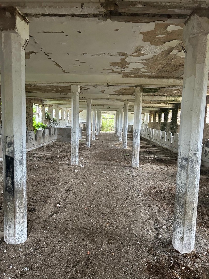 Darány külterületén 8 hektáros major istállókkal eladó - Kép 5