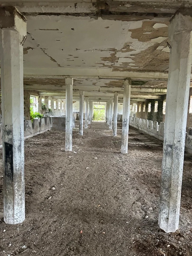 Darány külterületén 8 hektáros major istállókkal eladó - Kép 5