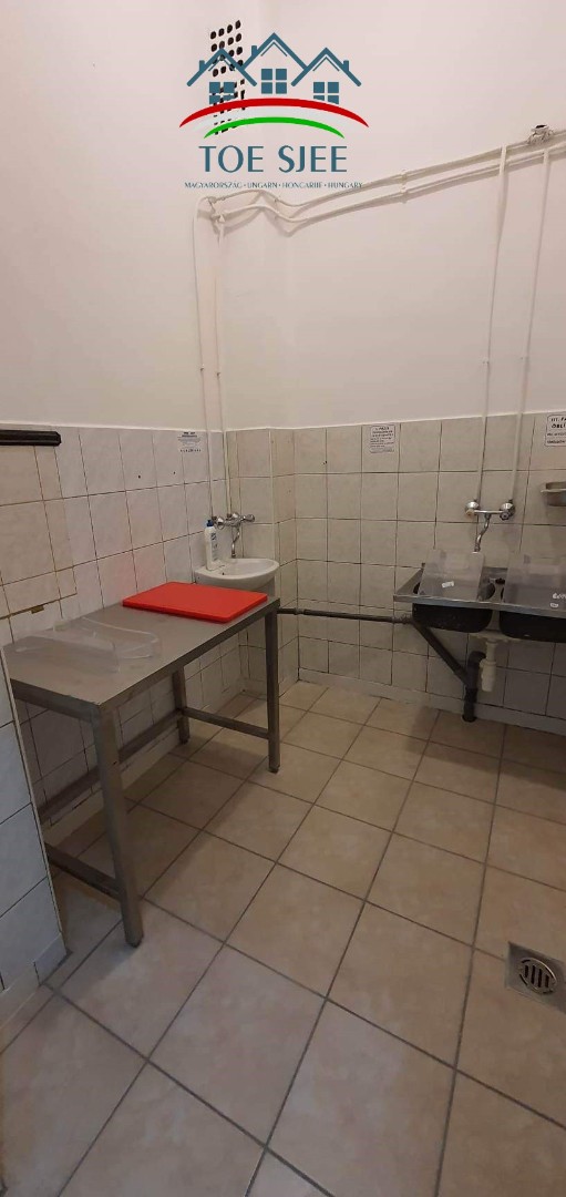 Vendéglő eladó Tiszaroffon (idn230203) - Kép 11