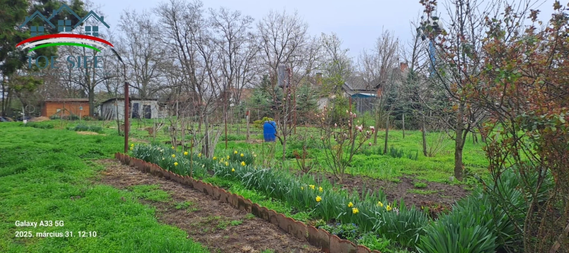Családi ház eladó Tiszaszentimrén (idn250331) - Kép 16