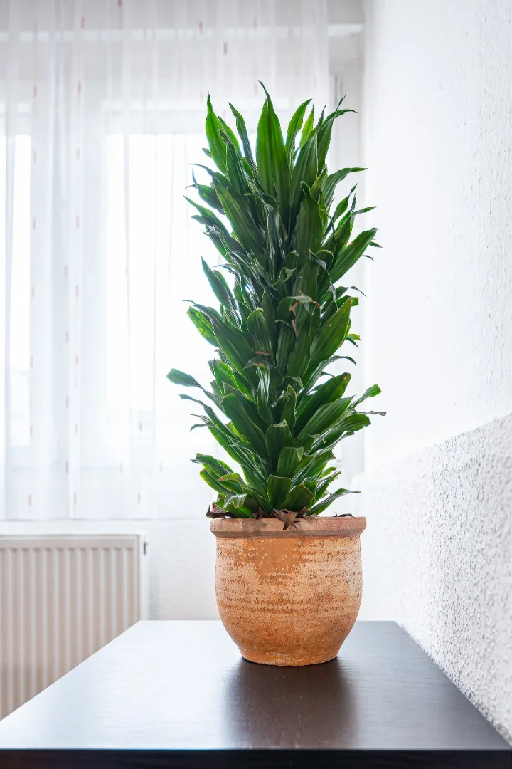 3 SZOBÁS LAKÁS ÓBUDA LEGGYORSABBAN FEJLŐDŐ RÉSZÉN - Kép 11