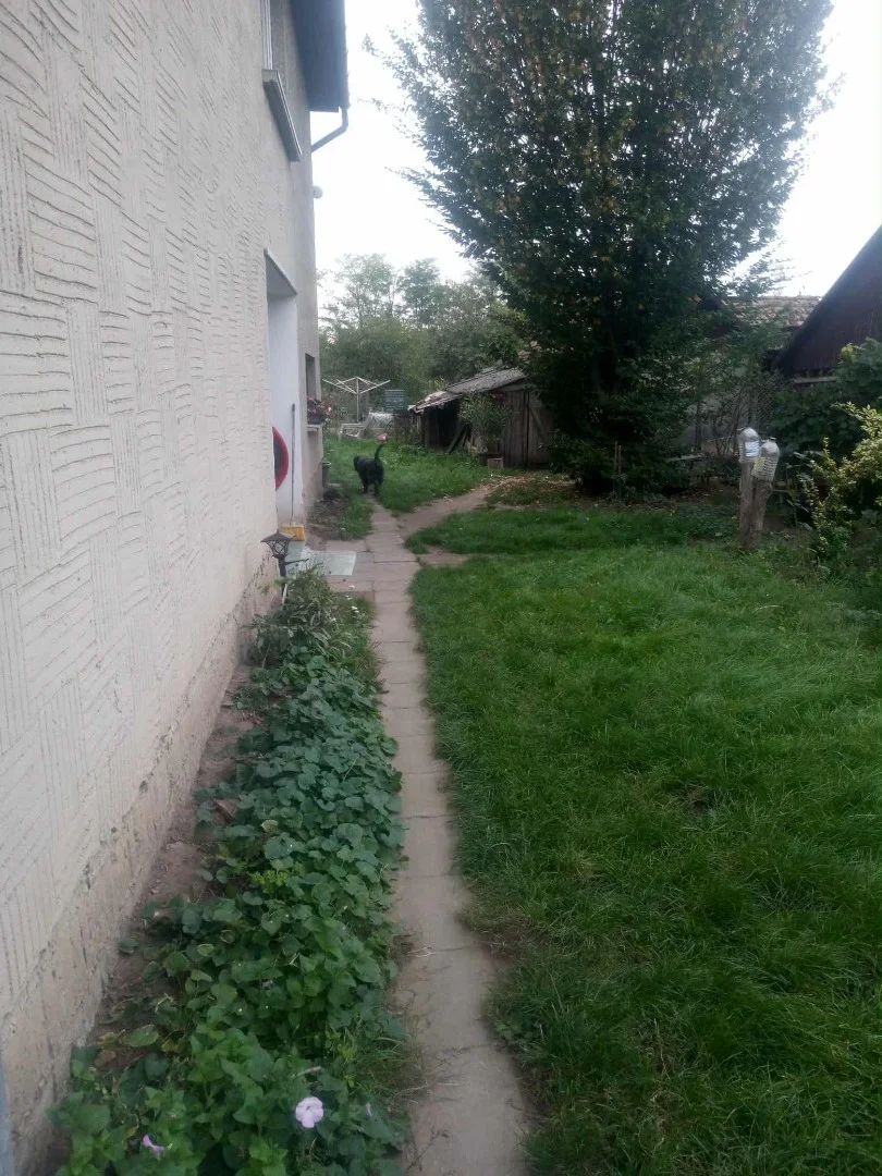 Ikerház jobb oldala - Kép 14