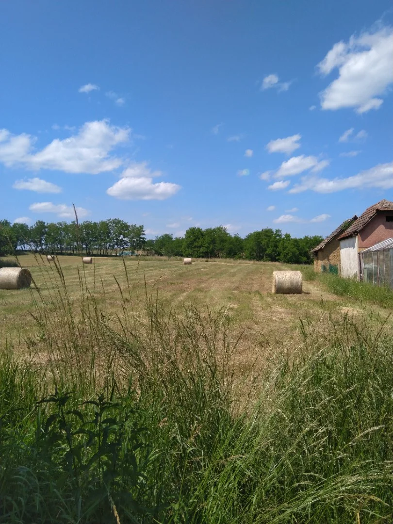 Mátraballa parasztház eladó - Kép 4