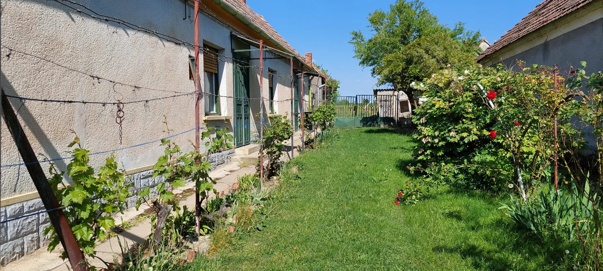 Kis-Balaton mellett családi ház eladó - Kép 3