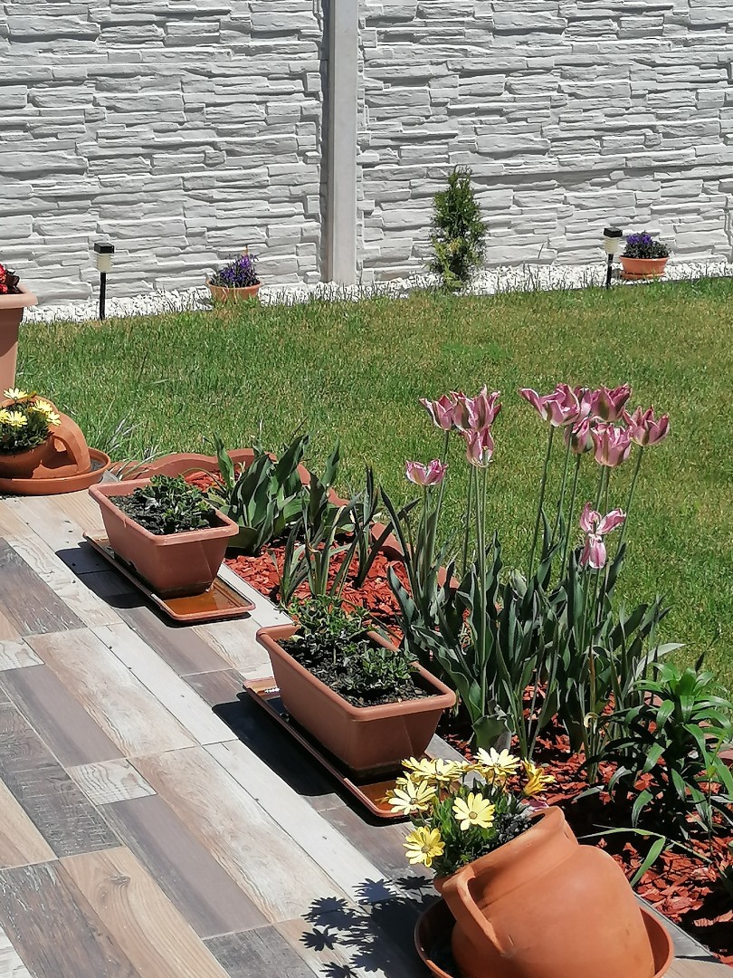 hőszivattyús újszerű ház - Kép 20