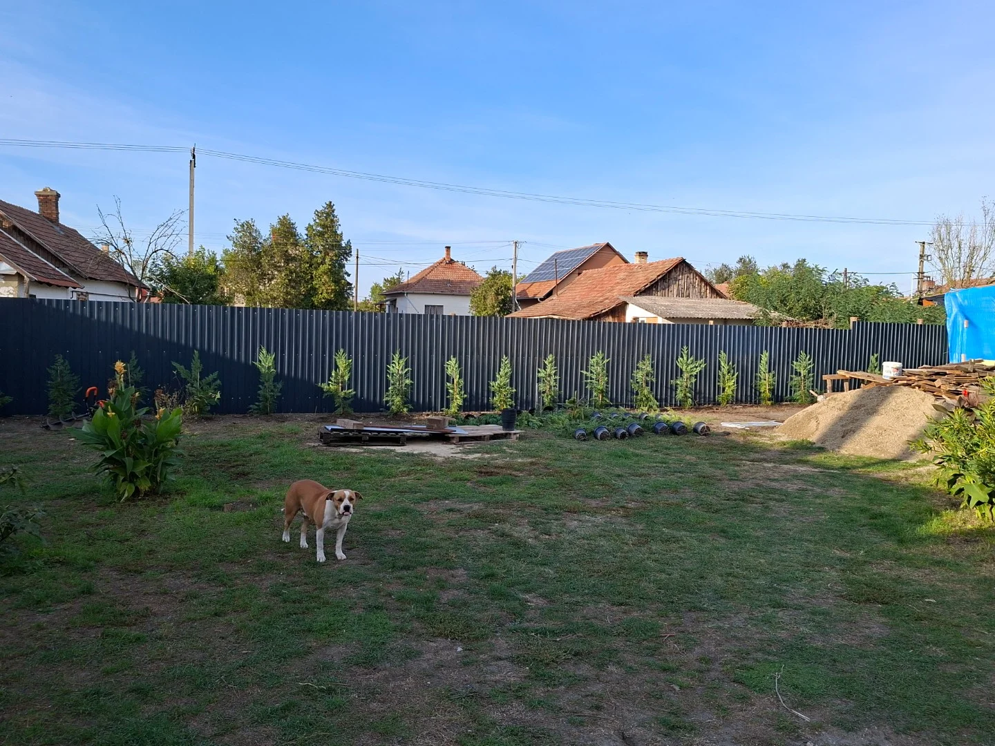 Eladó családi ház Gyomaendrőden - Kép 12