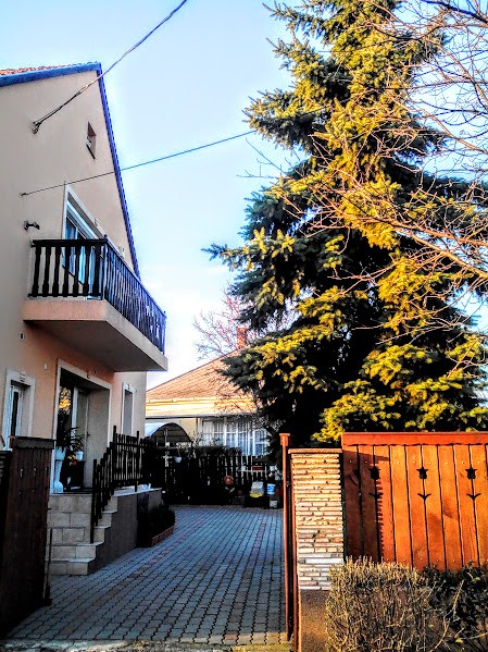 Veszprém Völgyhídnál családi ház - Kép 4