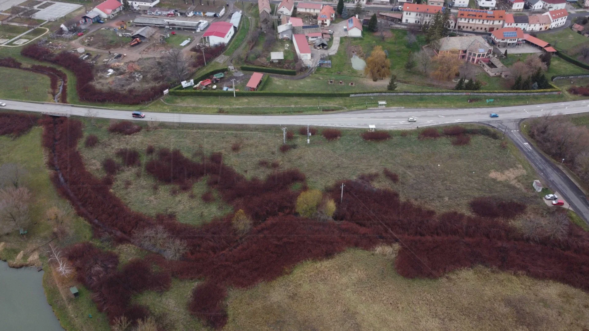 Sokrétűen hasznosítható terület eladó Mecseknádasdon - Kép 2