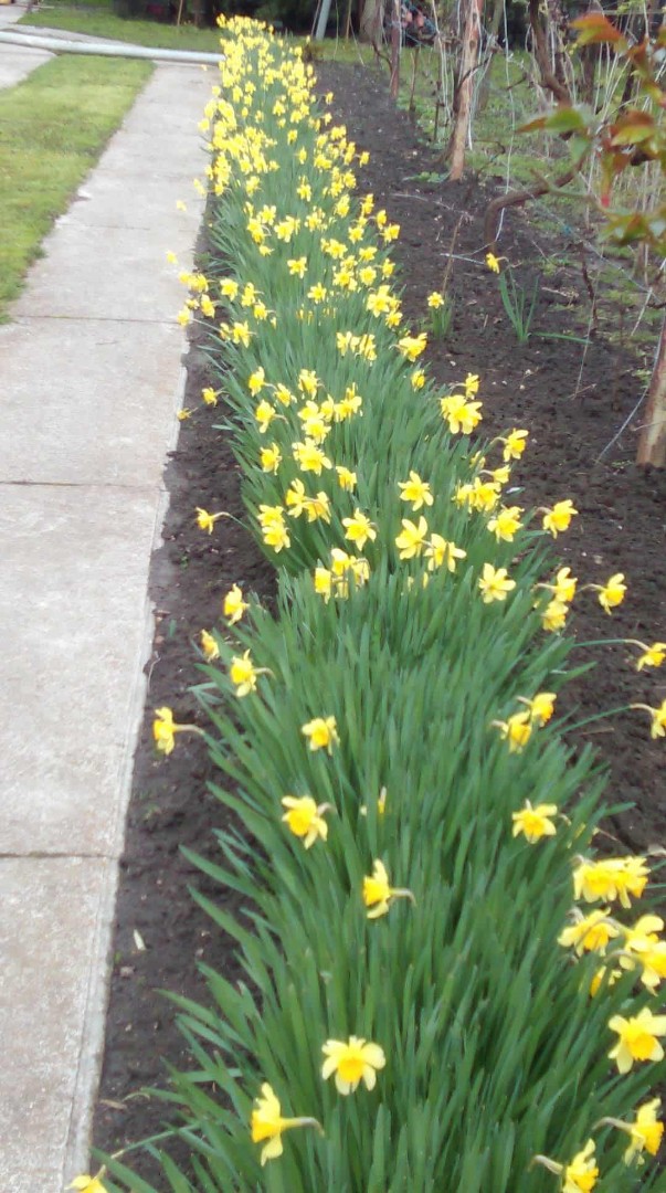 Családi ház eladó - Kép 10