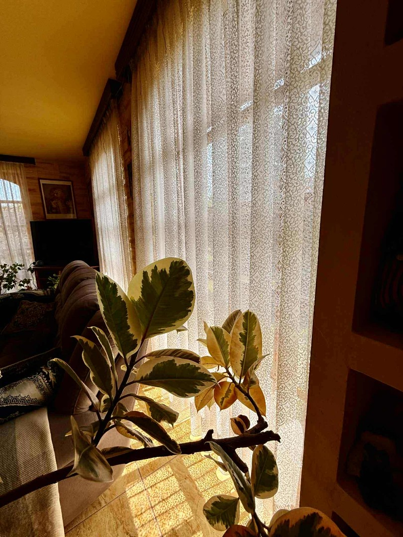 Eladó családi ház Szendrőn - Kép 10