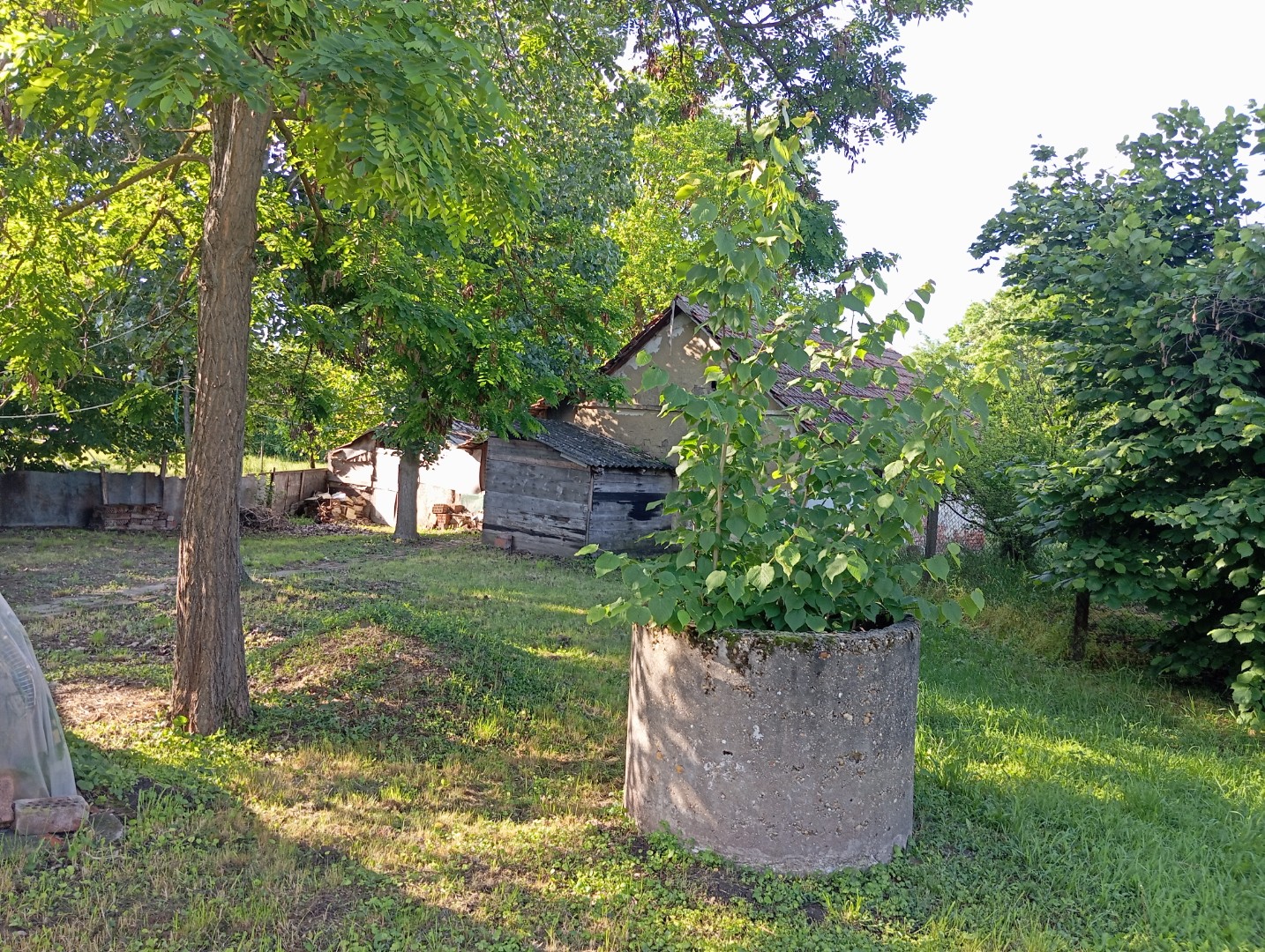 Eladó Tanya Békéscsabán! - Kép 13