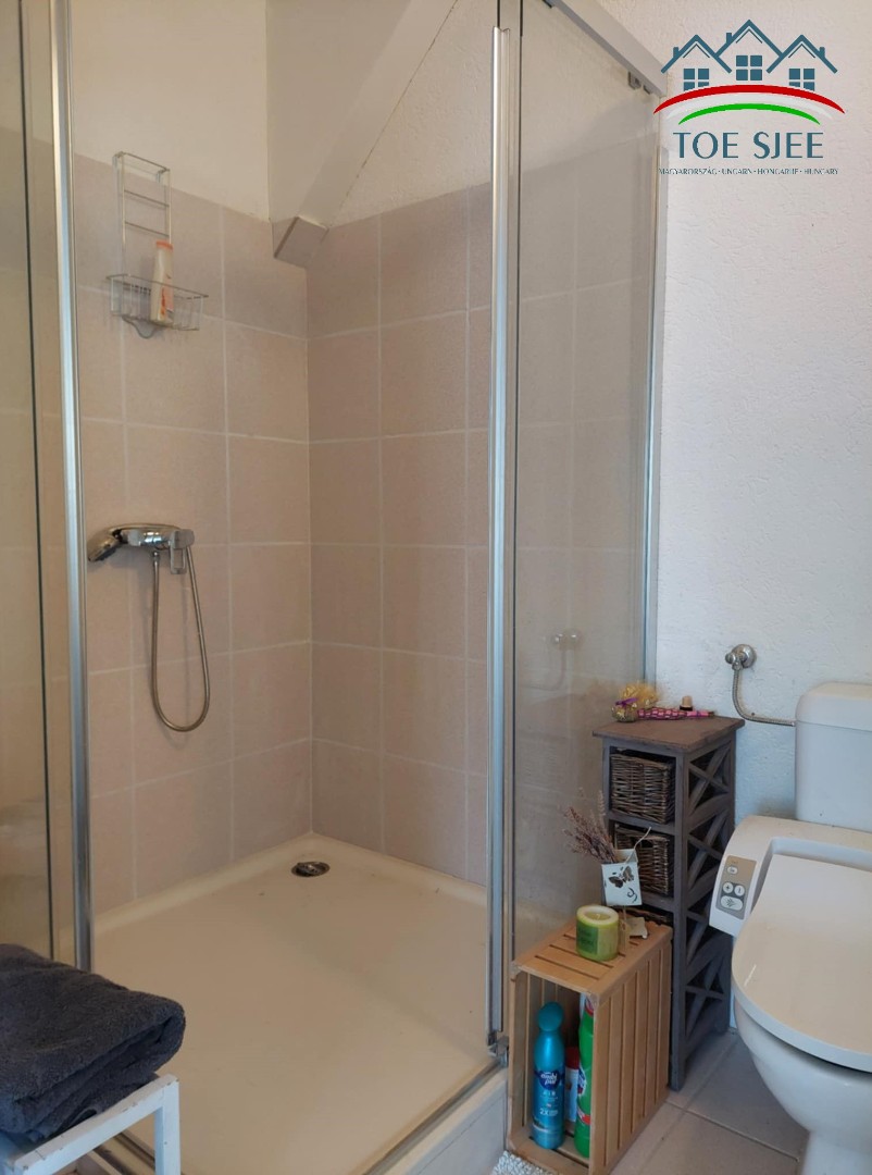 Tiszaderzsen családi ház hatalmas telekkel eladó (idn241104) - Kép 16