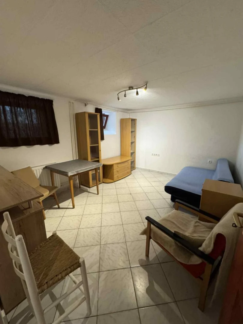 Pécsett belvárosában egy szobás lakás kiadó - Kép 7