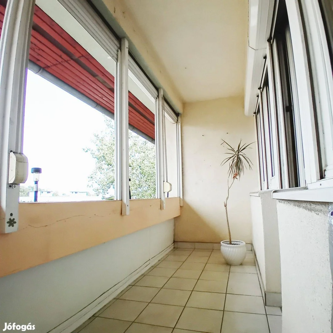 Malomkertben 3 nagy szobás azonnal költözhető lakás eladó - Kép 9