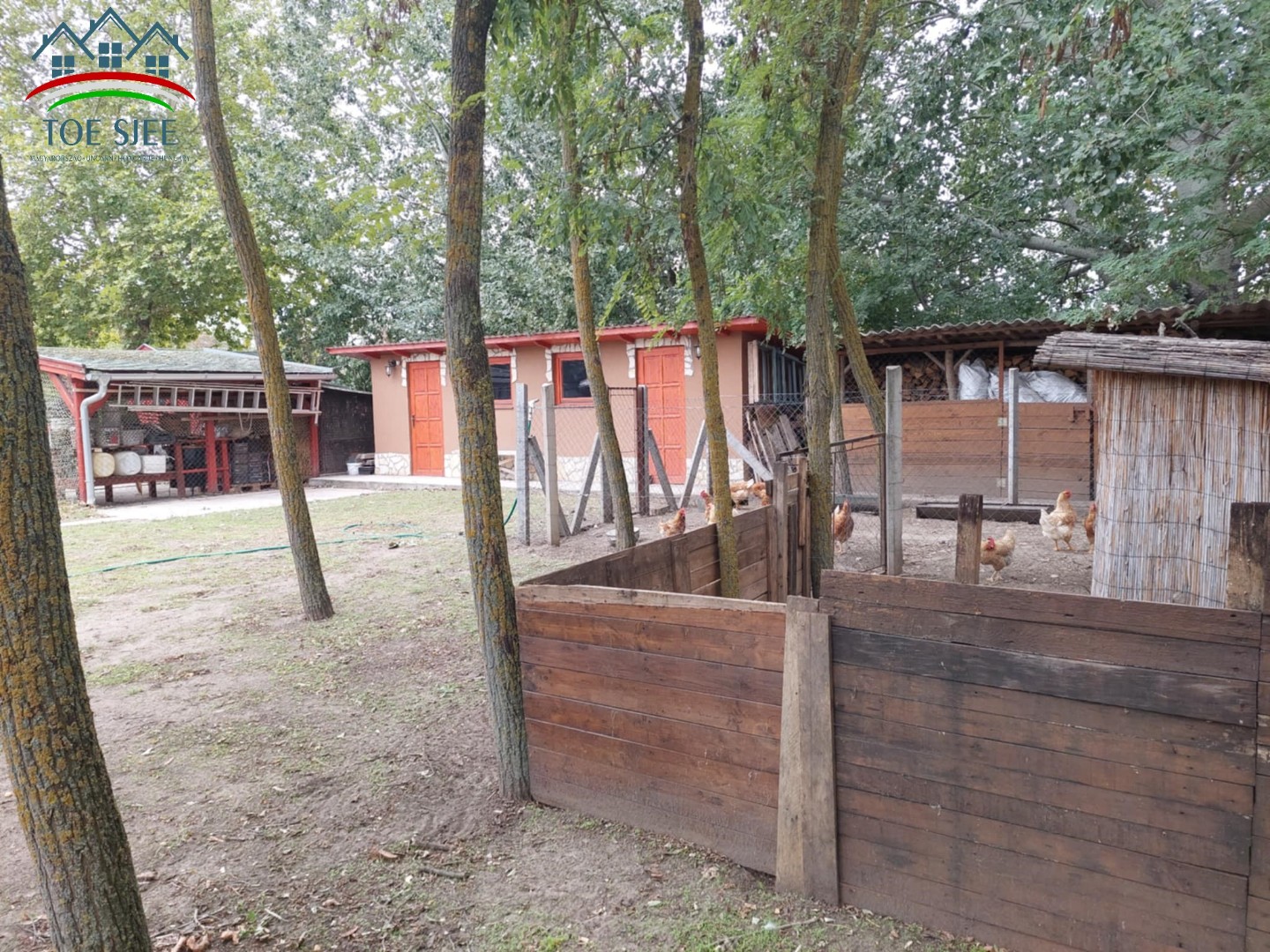 Tiszajenőn eladó családi birtok (idn241016) - Kép 18