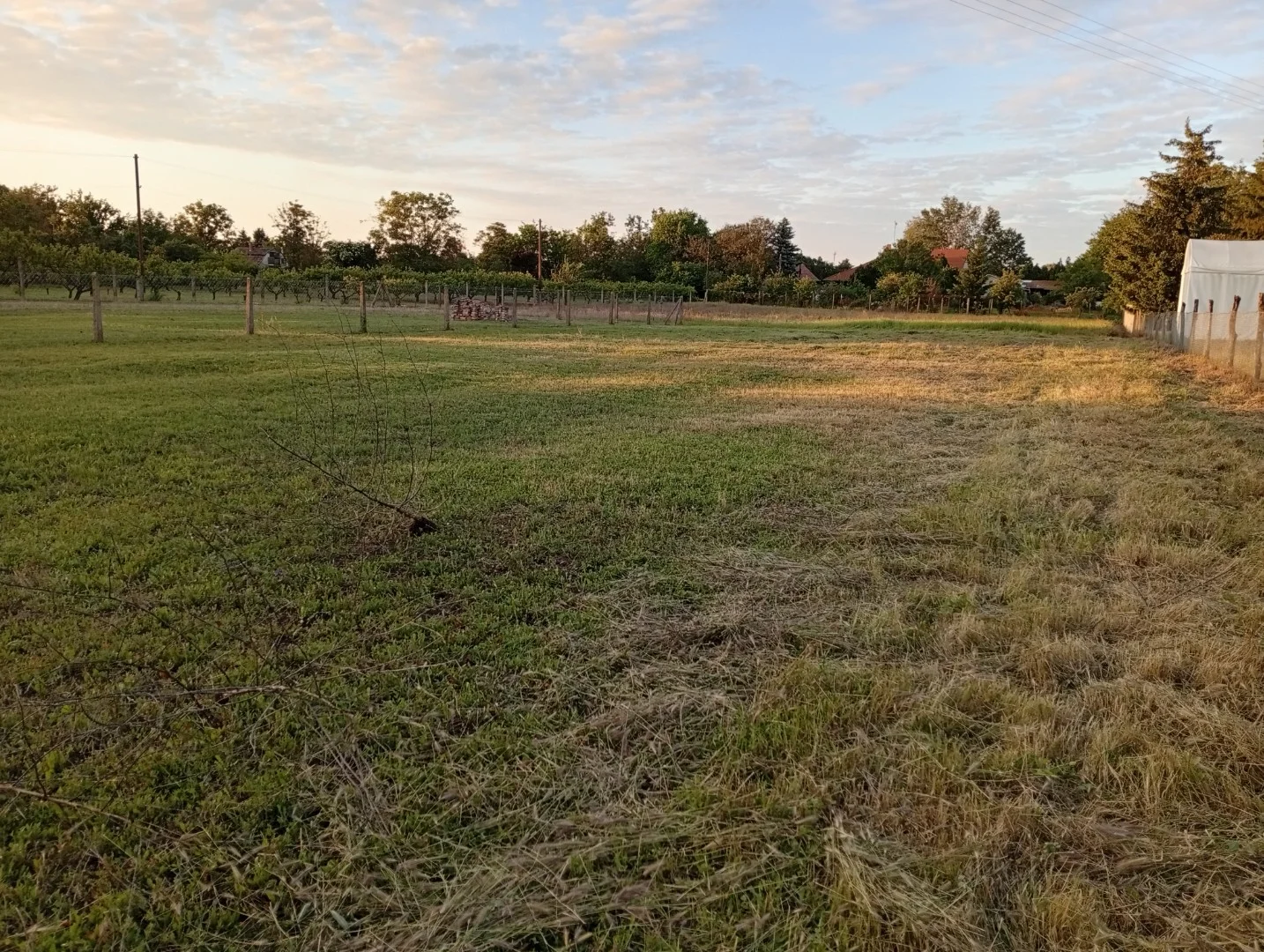 Zártkert, építési telek 3440m² - Kép 9
