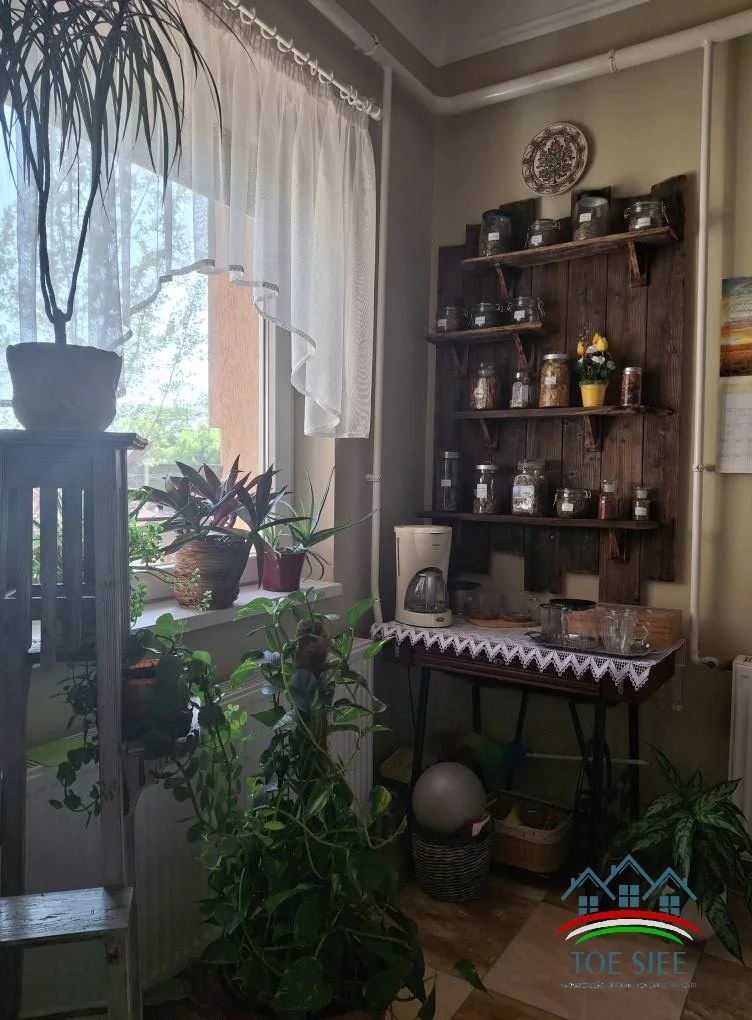 Családi birtok eladó Szolnokon (idn250906) - Kép 10