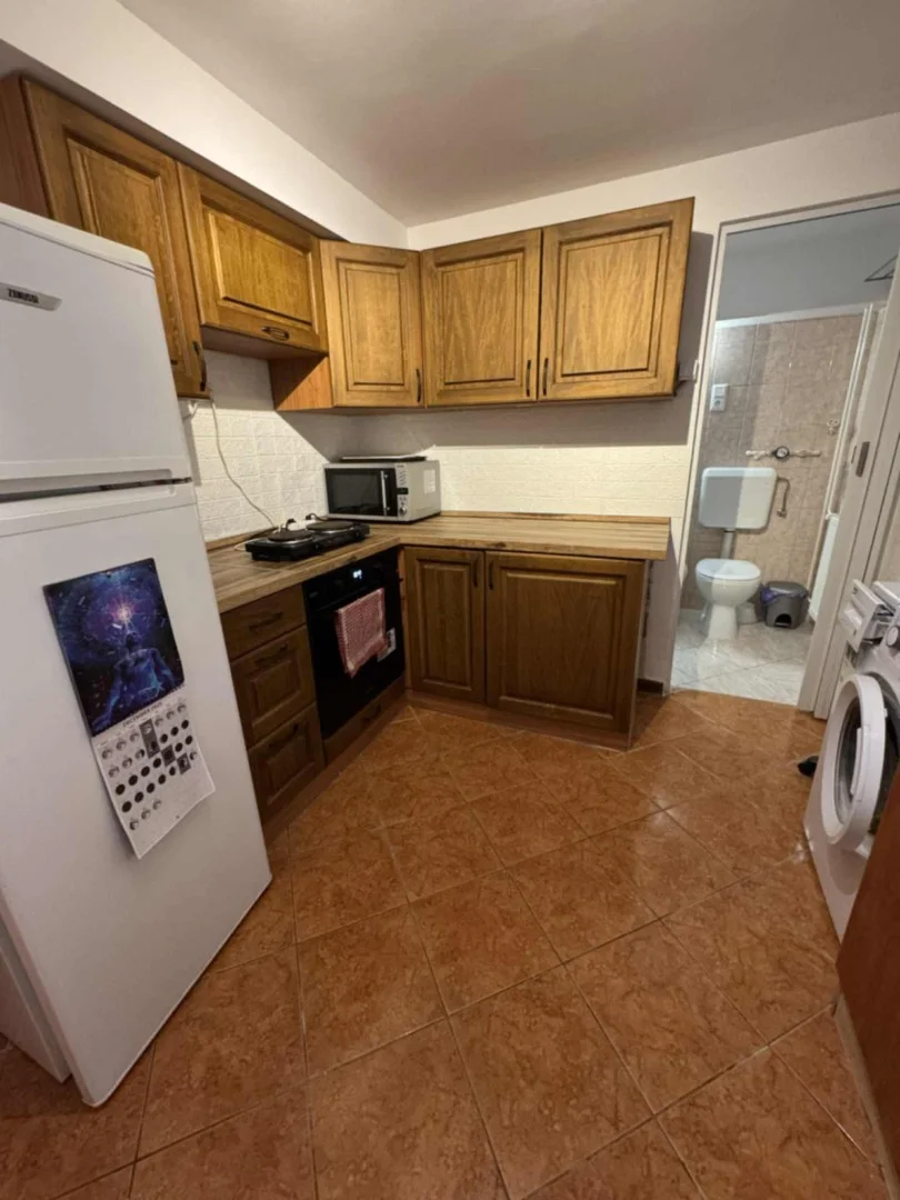 Pécsett belvárosában egy szobás lakás kiadó - Kép 2