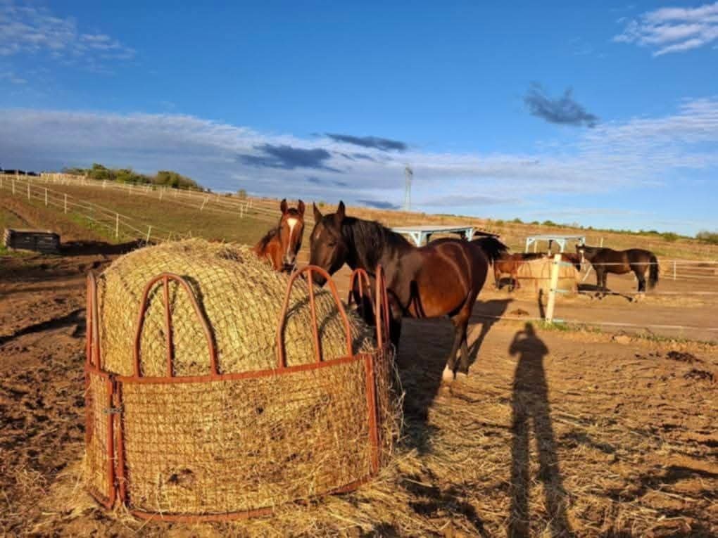 Eladó mezőgazdasági telek Fóton - Kép 3
