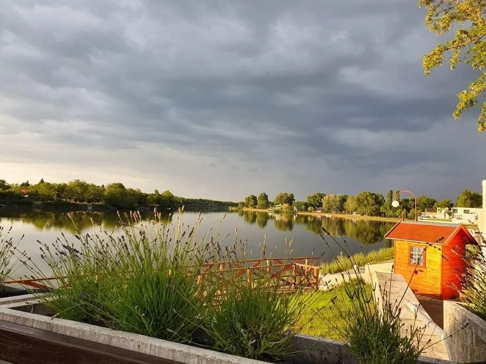 Eladó hotel, szálloda iroda / üzlet / kereskedelmi / szolgáltató Dunapatajon - Kép 10