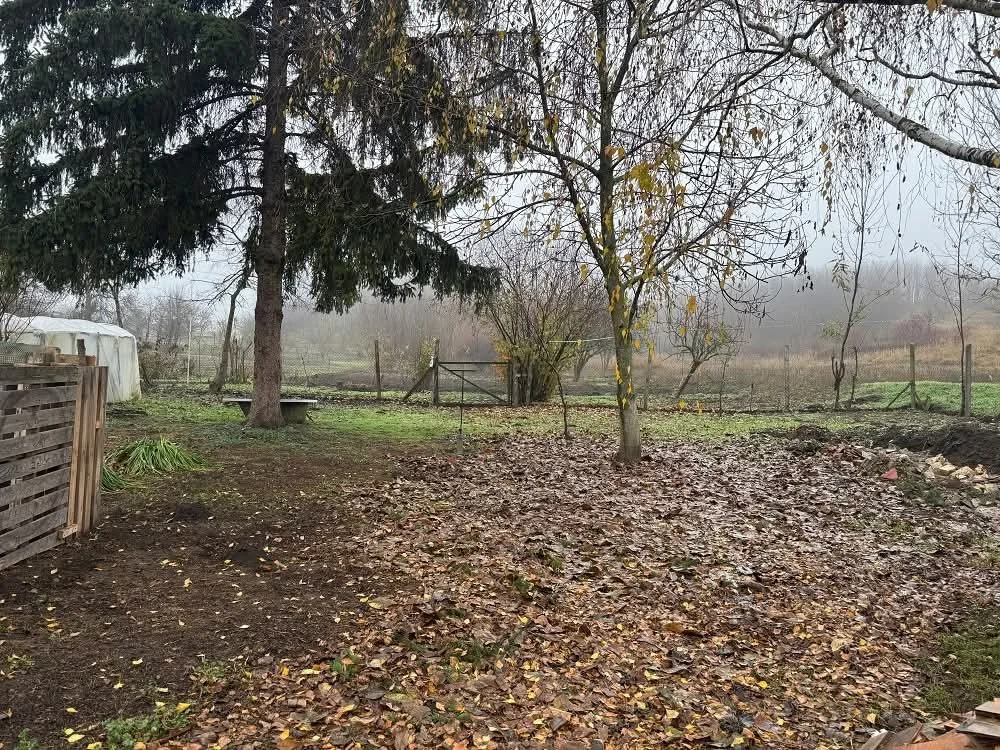 Eladó családi ház Sárbogárdon - Kép 17