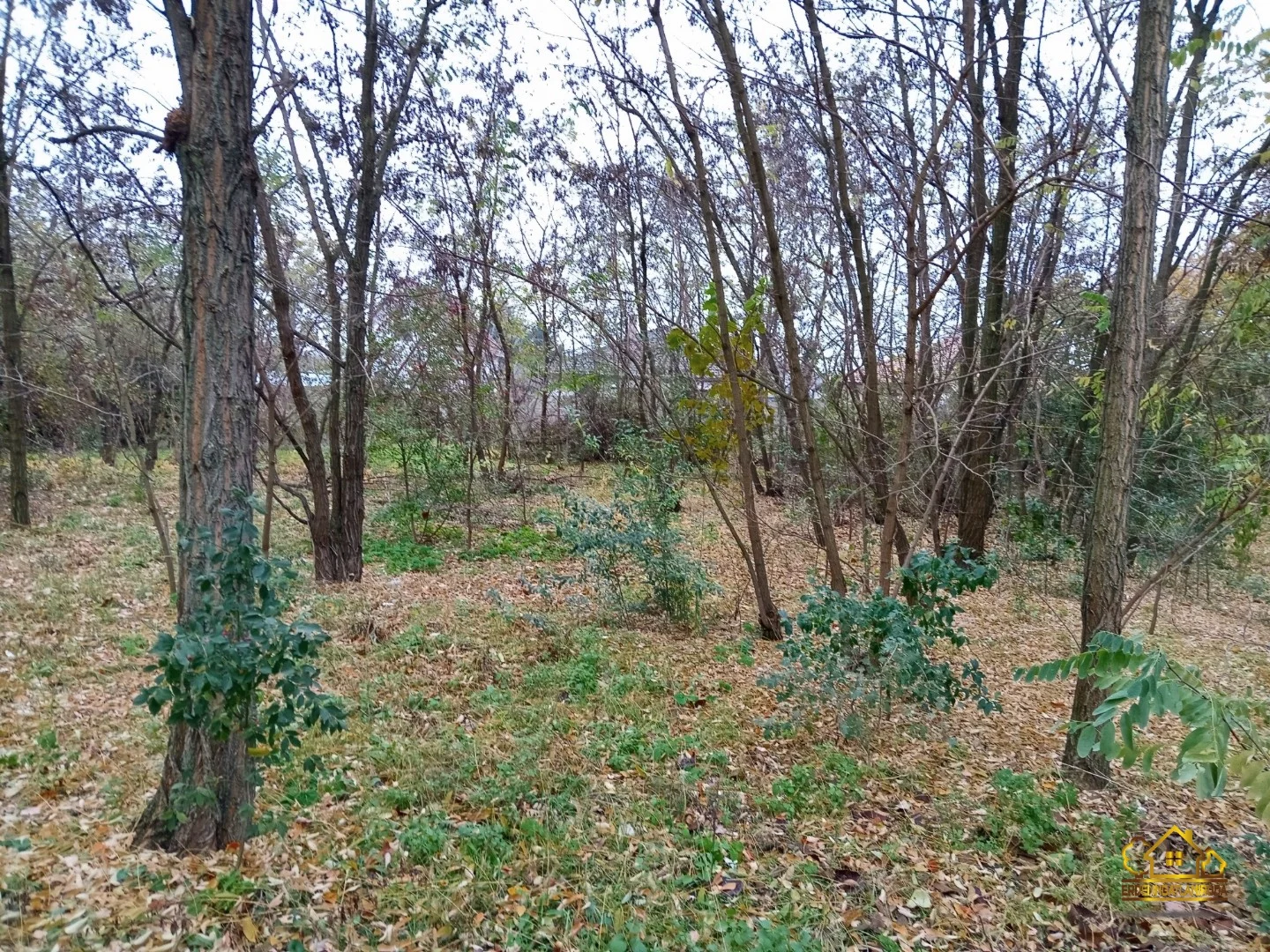 Eladó építési telek Szigetszentmiklóson - Kép 2