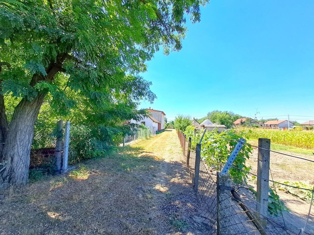 Eladó építési telek Tápiószőlősen - Kép 9