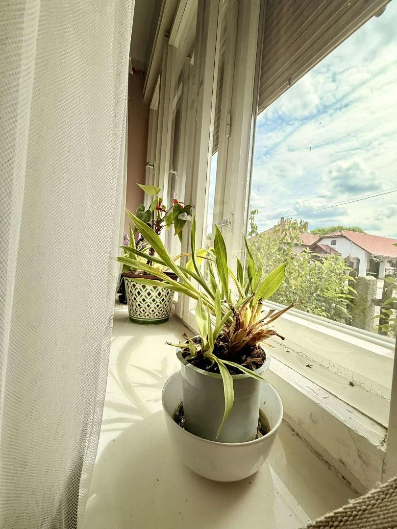 Eladó családi ház Felsőnyárádon - Kép 7