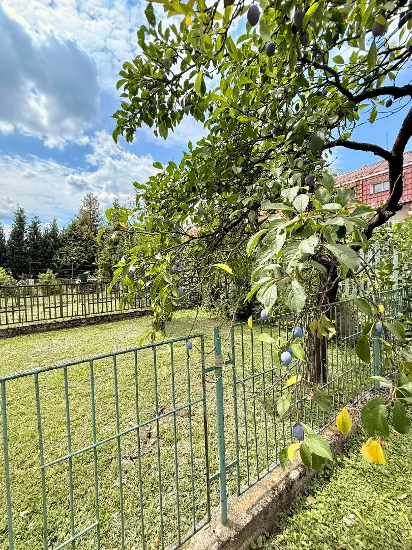 Eladó családi ház Felsőnyárádon