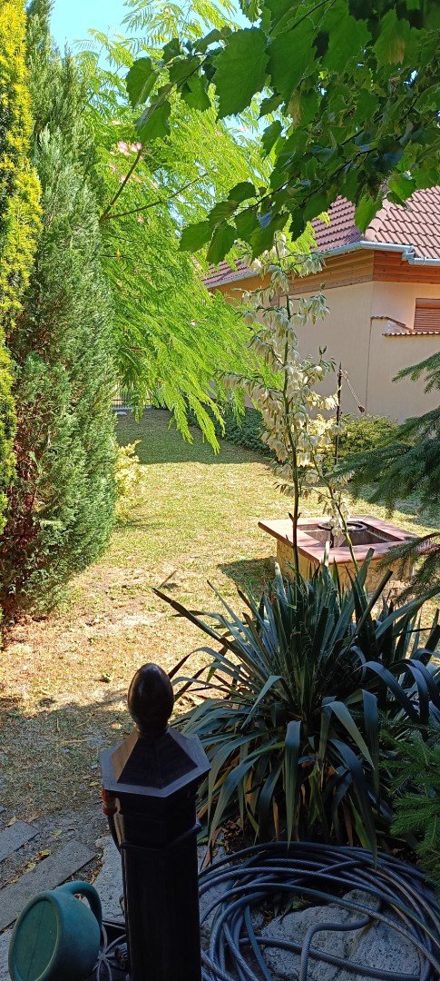 Eladó családi ház Gyulan - Kép 13